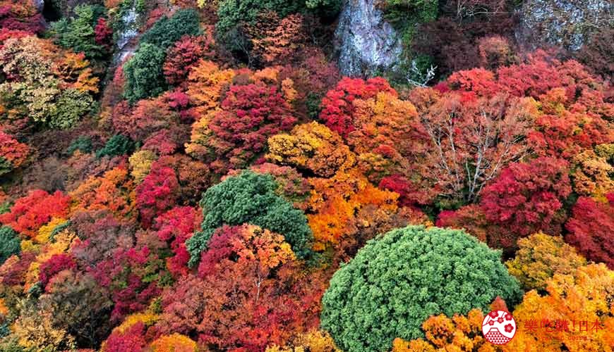 四國「小豆島」必去紅葉秘境「寒霞溪山谷」照片
