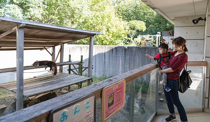 德岛市官方观光网站「Fun!Fun!TOKUSHIMA」的观光示范行程「孩子们也能开心享受的德岛之旅」