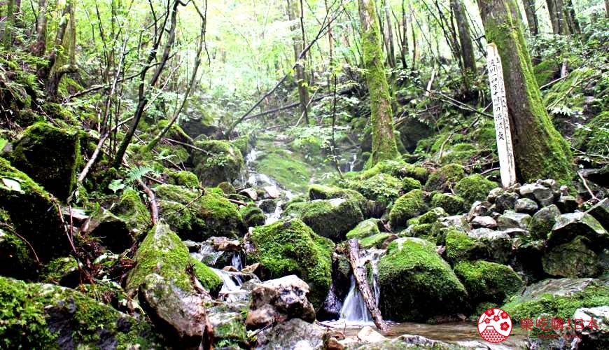 高知景點推薦四萬十川源頭