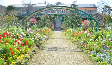 日本高知閨蜜旅行推薦推介美肌溫泉超舒服日版莫內花園絕美花景打卡必到私房景點的北川村モネの庭的拱門走道