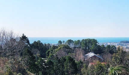 日本高知閨蜜旅行推薦推介美肌溫泉超舒服日版莫內花園絕美花景打卡必到私房景點的北川村モネの庭的光之庭
