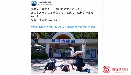 親子旅遊必去推薦四國水族館超另類騎乘海豚好刺激學校泳池養大魟魚的桂濱水族館的幽默Twitter配信